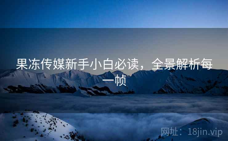 果冻传媒新手小白必读，全景解析每一帧